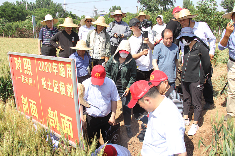 加强高标准农田与耕地质量建设 端牢中国饭碗