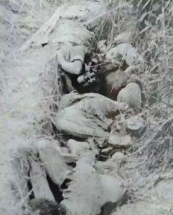 越军老兵回忆收尸经过，老山松毛岭战役惨败之后