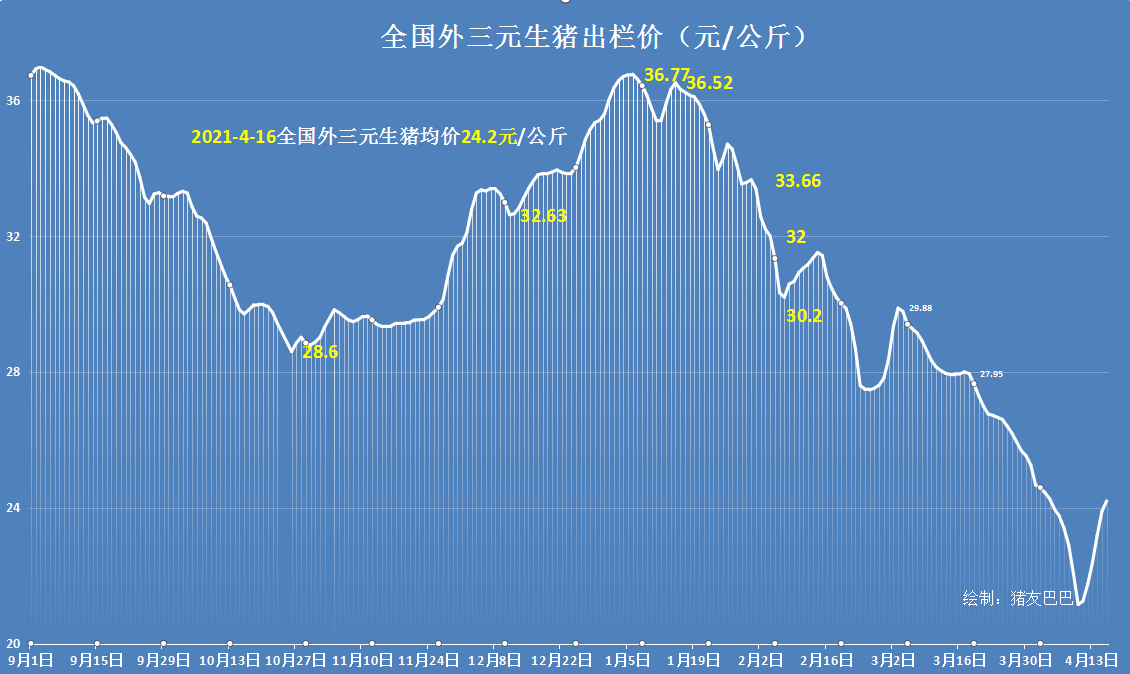 紫气东来！猪价涨翻天，6天大涨3.05元，养殖户却发愁，咋回事？