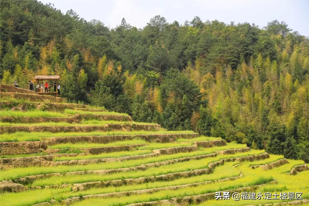 阳春三月 · 永定初溪土楼赴一场春之约