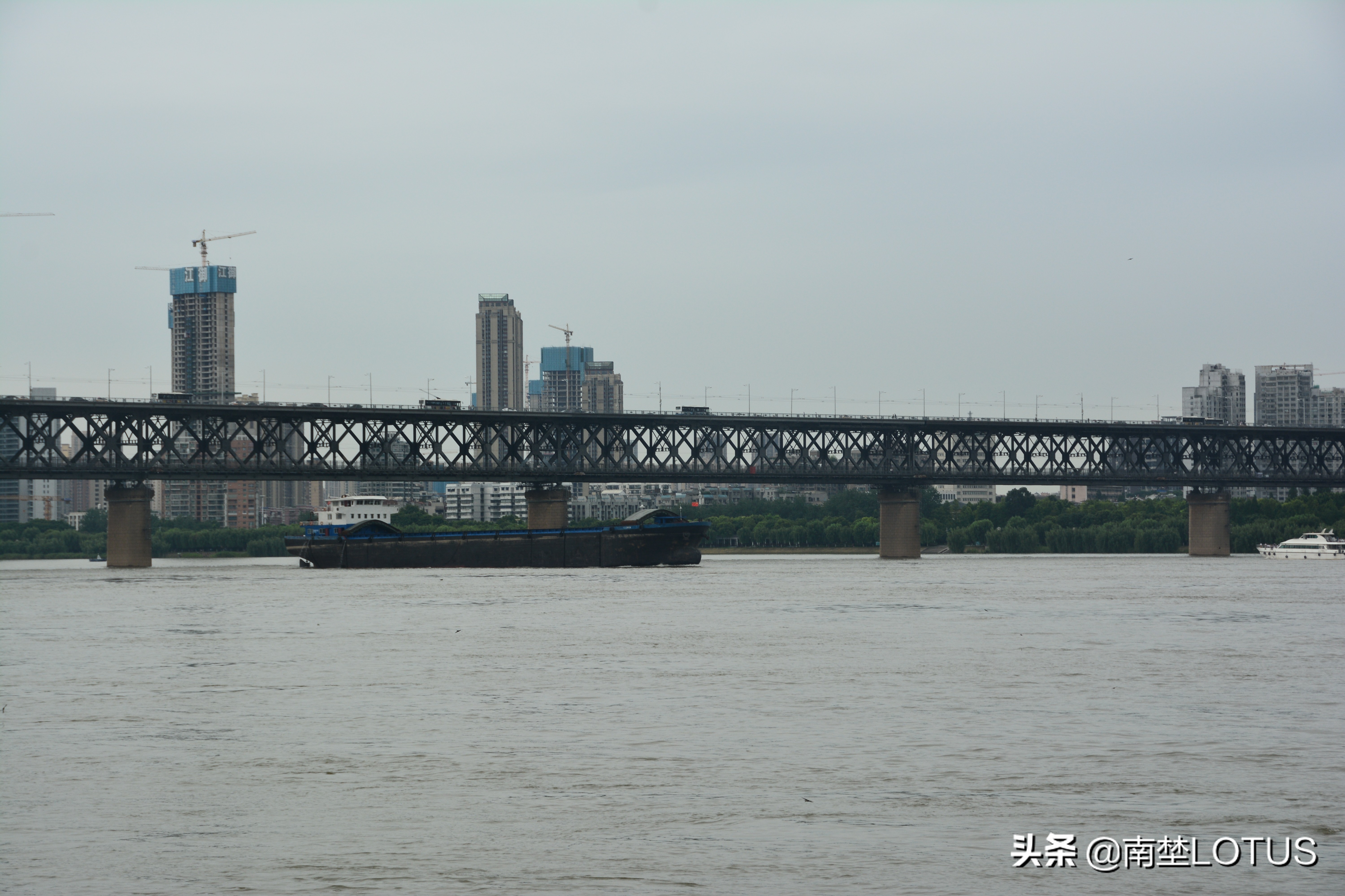 暴风雨也浇灭不了我们的热情(暴风雨浇灭不了江城716横渡长江游泳健将们的训练热情)