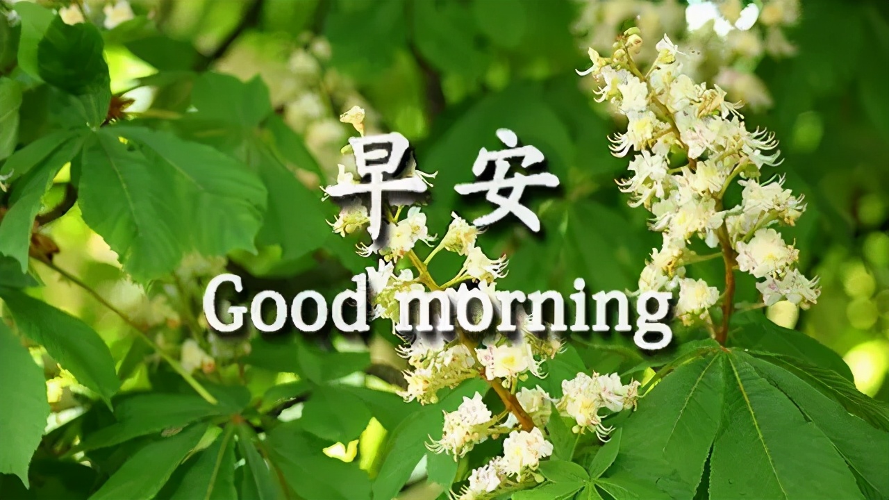 最新的早上问好祝福图片带字，最真诚的早安问候美图图片