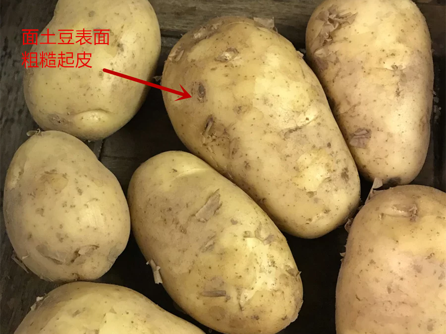 買土豆，分清“面土豆”和“脆土豆”，燉和炒用的不一樣，別搞錯(cuò)