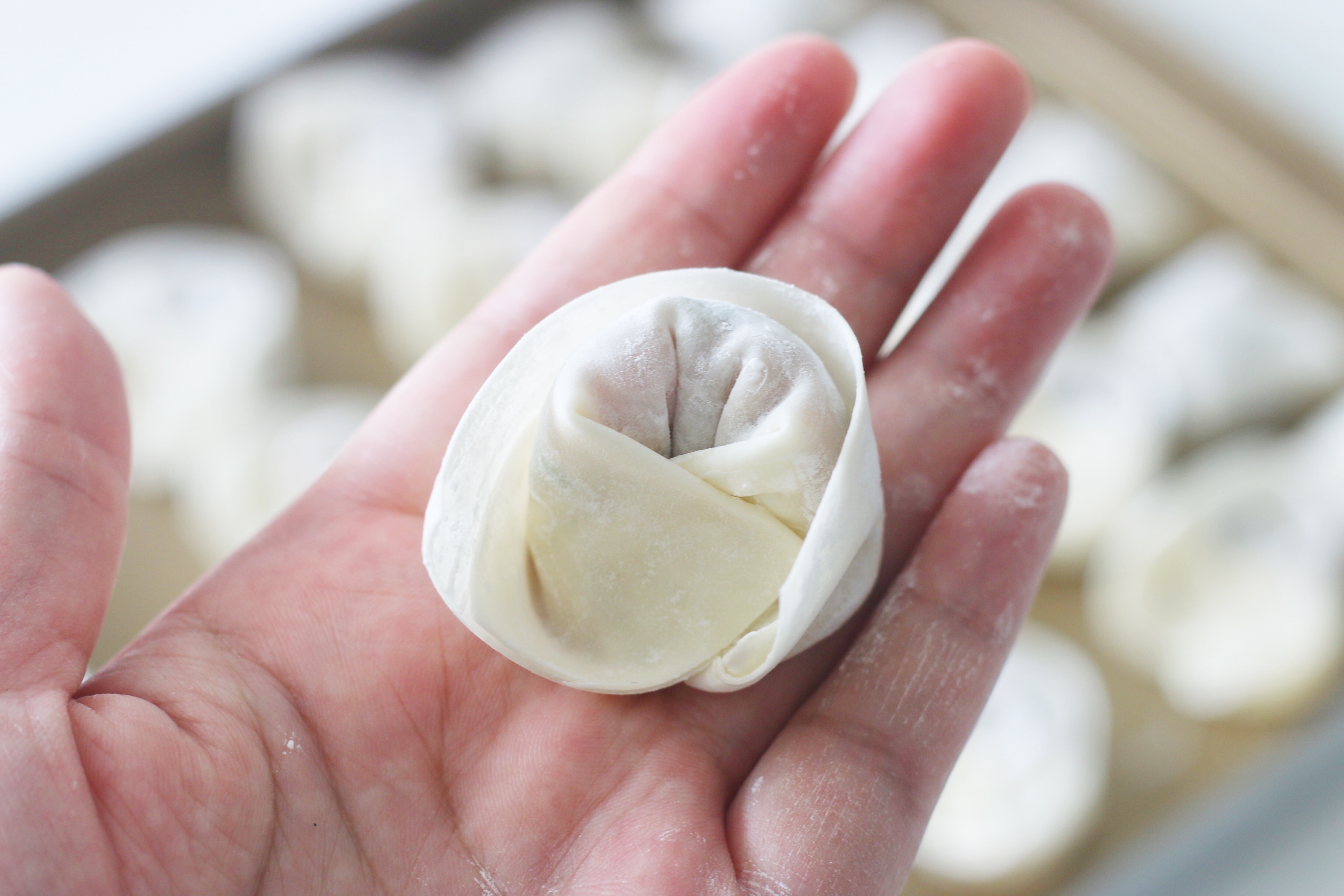 早餐就好這一口，絞點兒肉餡兒就成，跟餃子一樣好吃