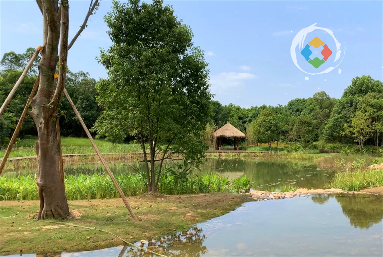 重庆广阳岛游玩攻略：一天逛完4大景点，美不胜收，拍照超好看