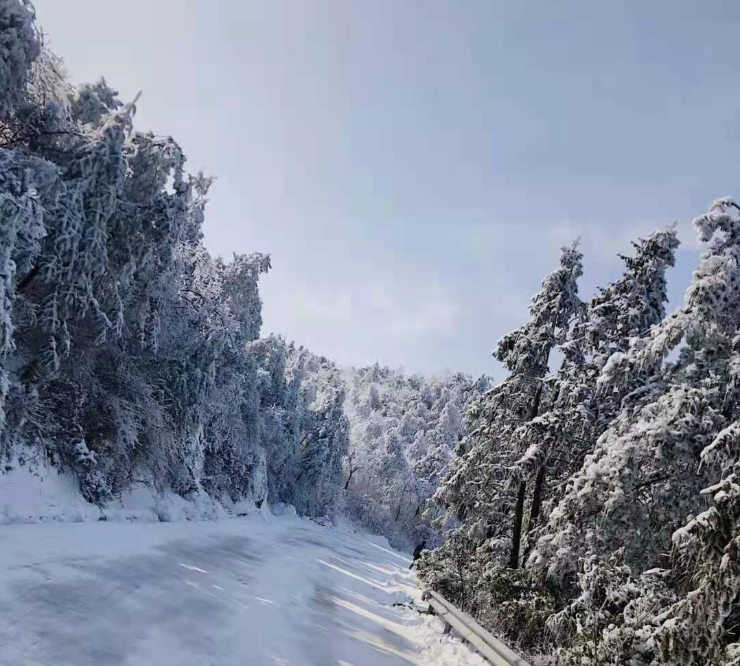 宁波冬季最强滑雪攻略在此！一日游、两日游…乘着周末就去吧~