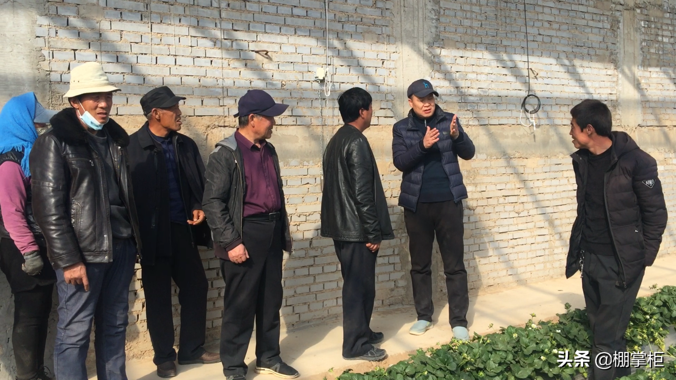 搞农业大棚，就用棚掌柜