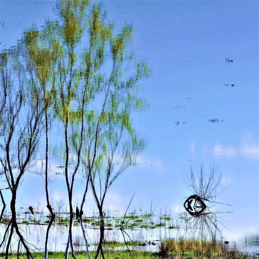 伊春丨春天开始的地方