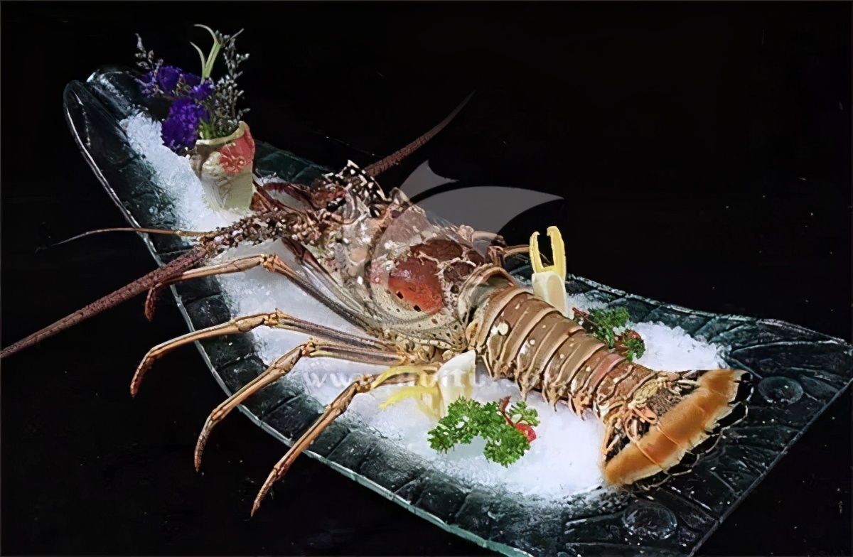 中国产的龙虾海鲜品种