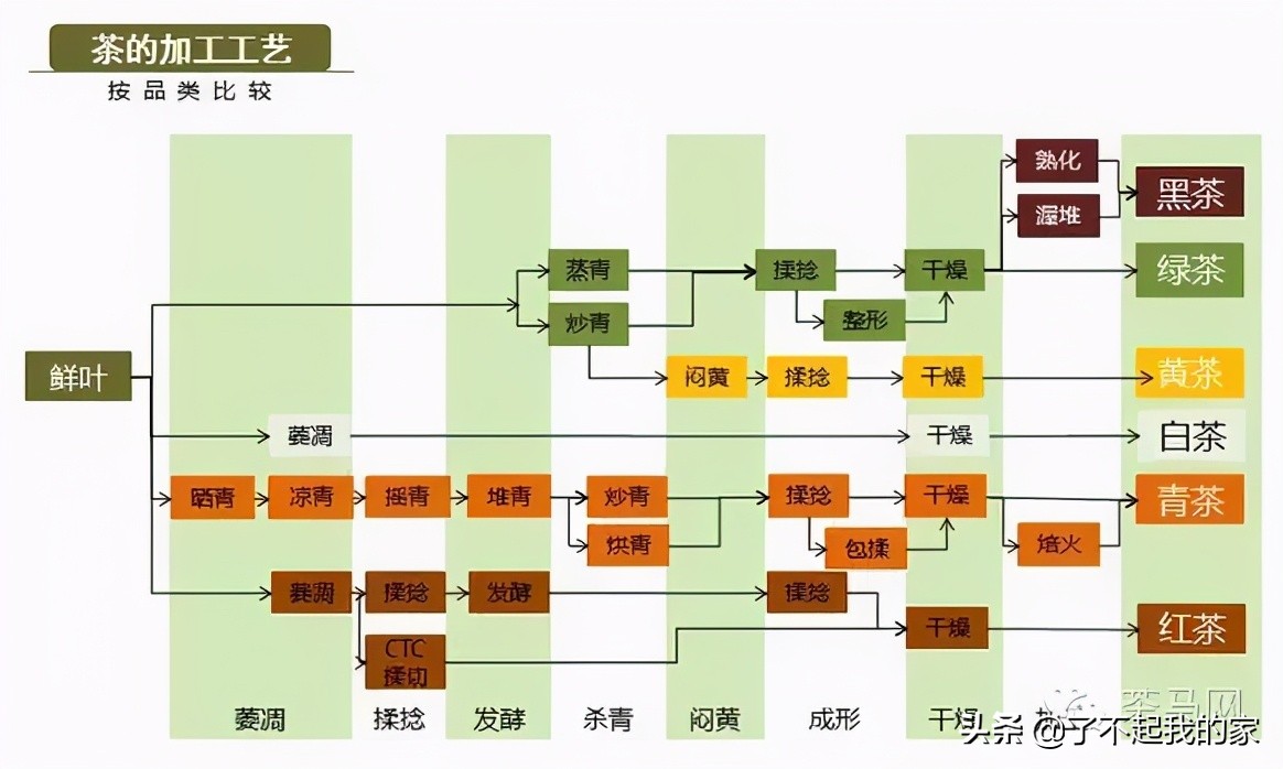 六大茶类｜茶艺基础知识