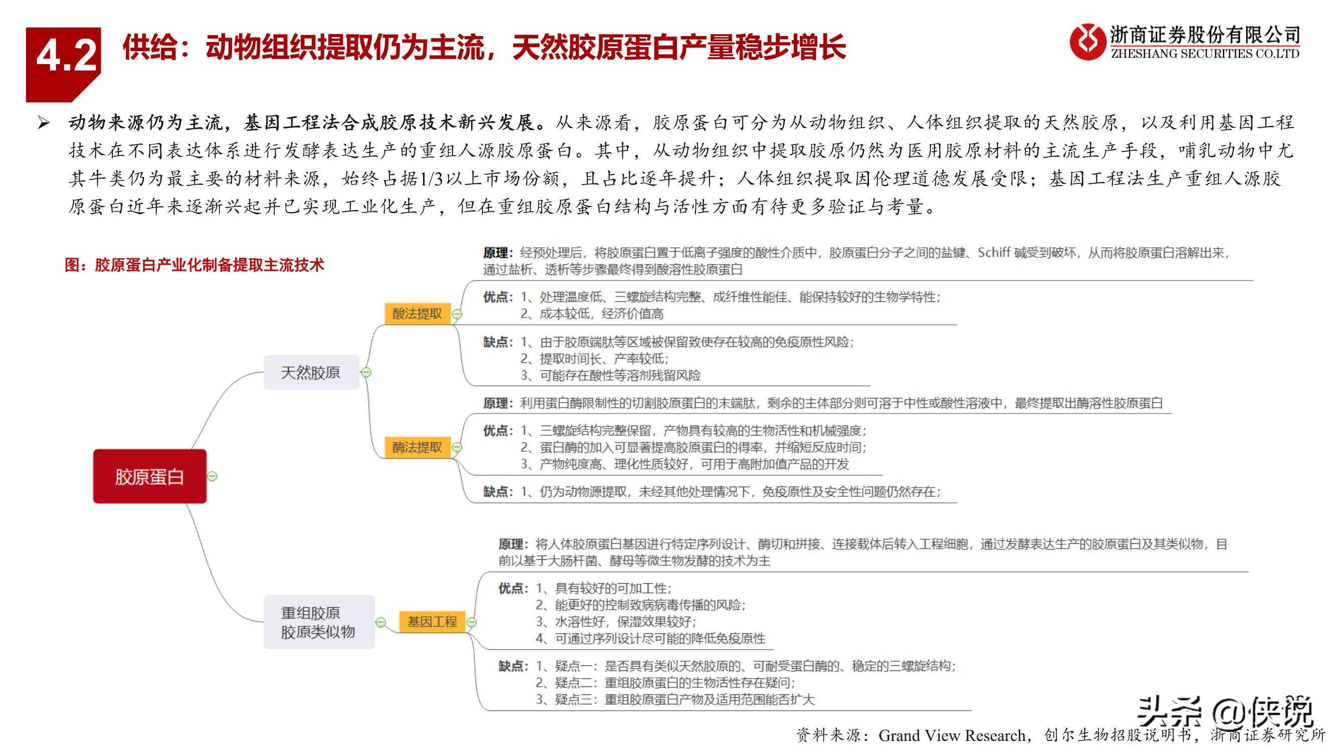 医药生物行业胶原蛋白：与玻尿酸并驾齐驱的掘金赛道（浙商证券）