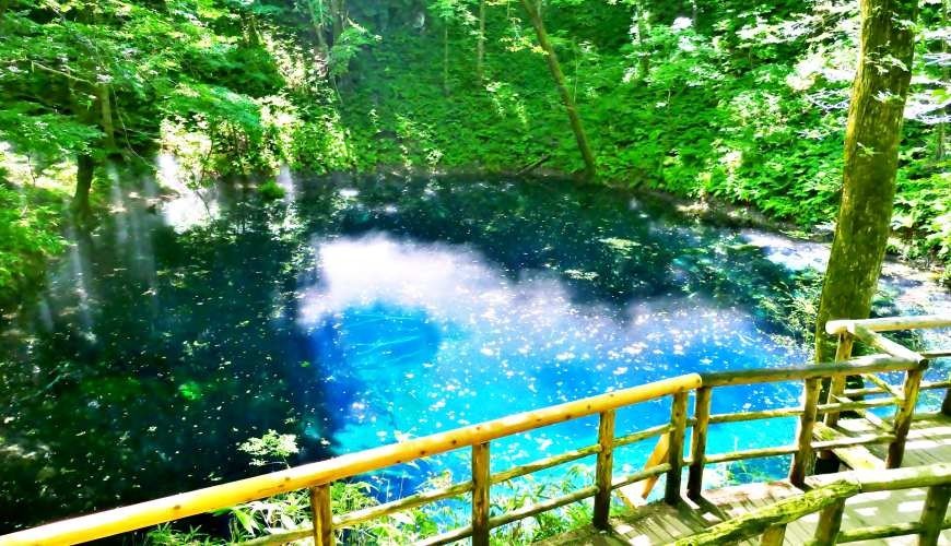 秋田3天2夜游 白神山地 绝景青池打卡 牵超萌秋田犬散步 乐吃购到日本 Mdeditor