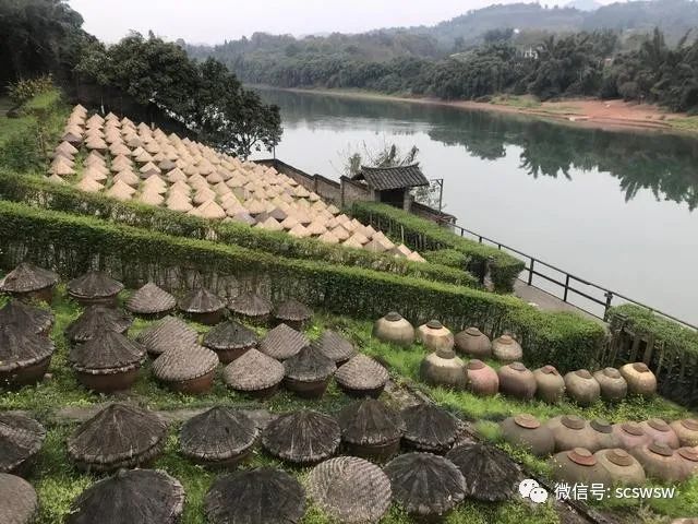 四川大学、四川省微生物学会专家一行走进“中国非遗 先市酱油”，品味百年酱油传承之光