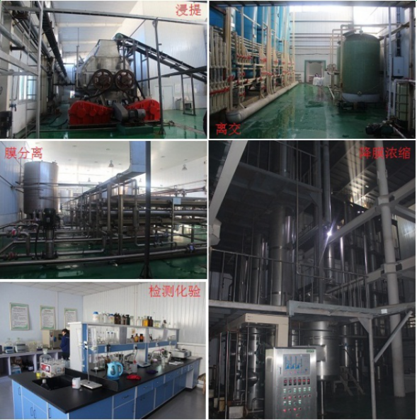 河北“农业+生物医药”打破胰岛素进口依赖，多项技术国际领先