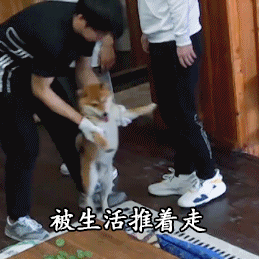 厨艺如何从青铜提升到白金段位？我的“舌尖上的留学生活”分享