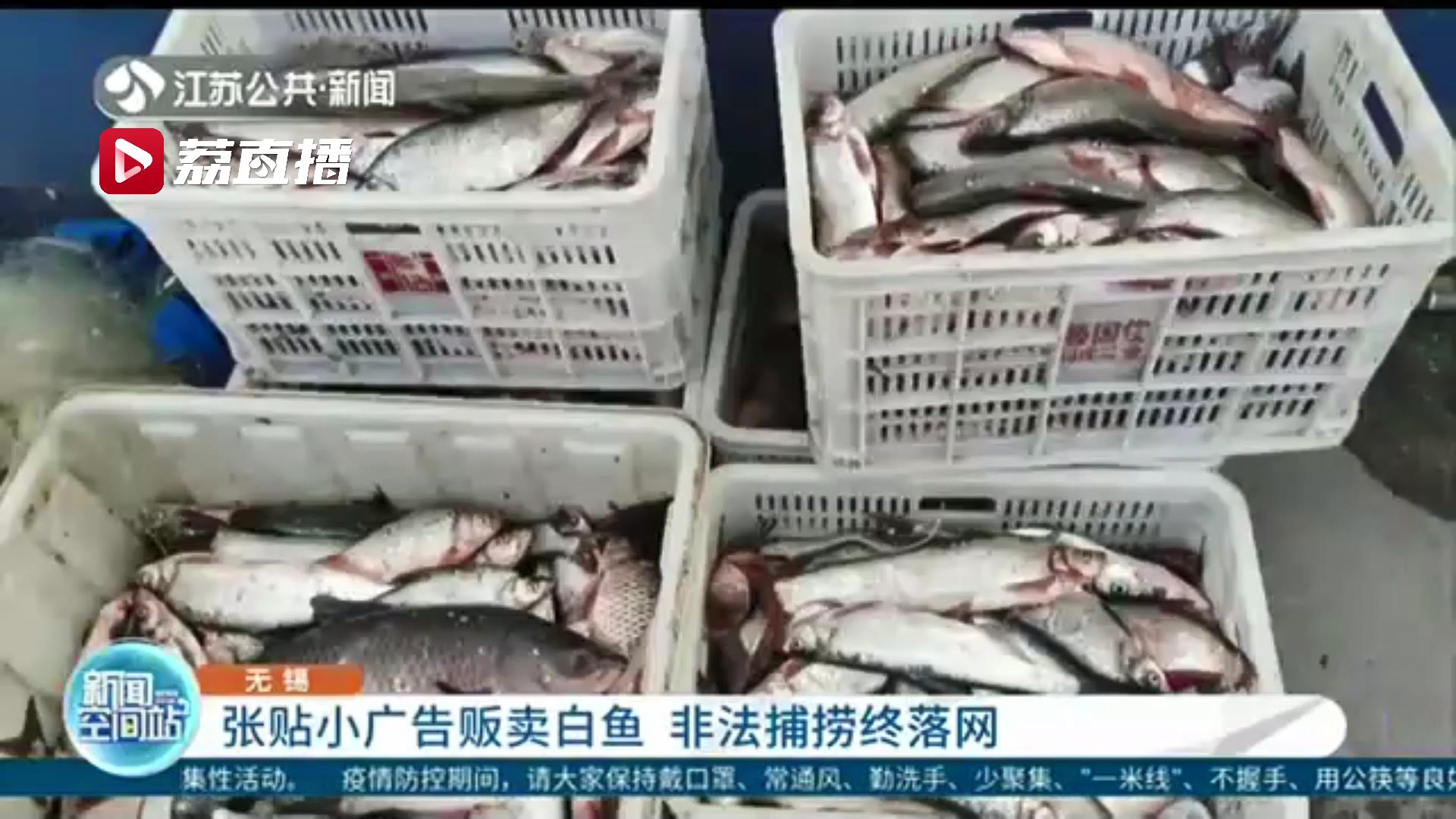 整治小广告发现有人售卖太湖白鱼 四人非法捕捞被民警顺藤摸瓜现场抓获