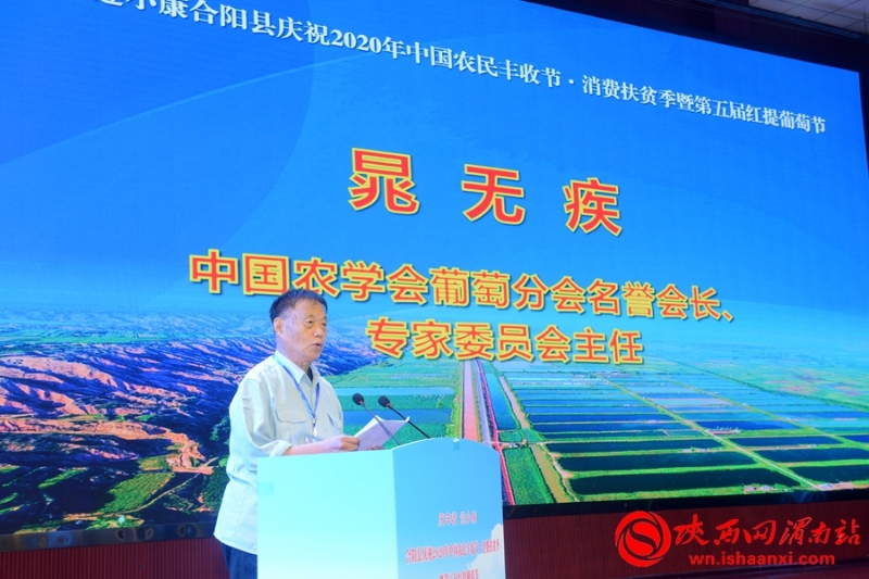 合陽縣2020年農(nóng)民豐收節(jié)暨第五屆紅提葡萄節(jié)開幕（組圖）