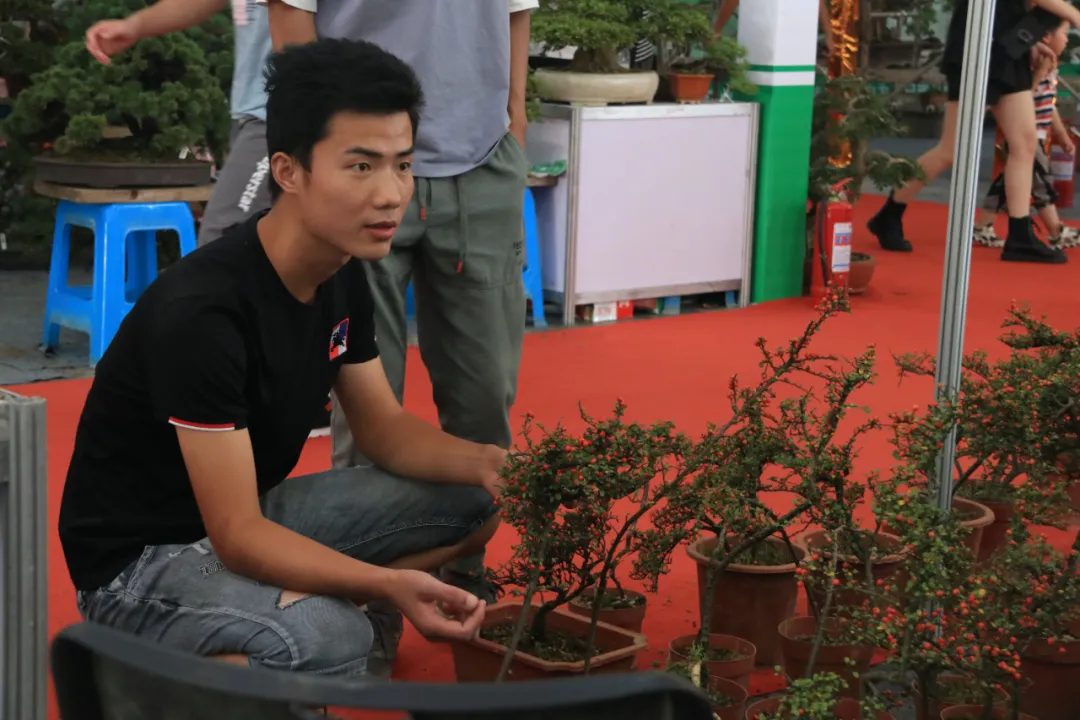 大饱眼福，第八届中国沭阳花木节竟如斯出色！你想看的全在这里…