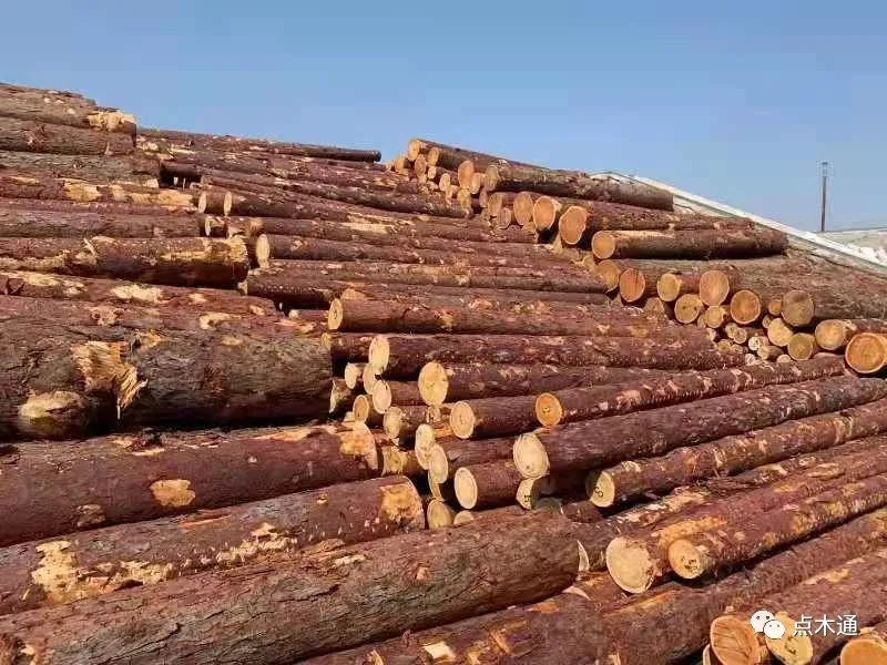 上半年针叶原木进口量增长约41%，库存量超600万方，抄底谨慎