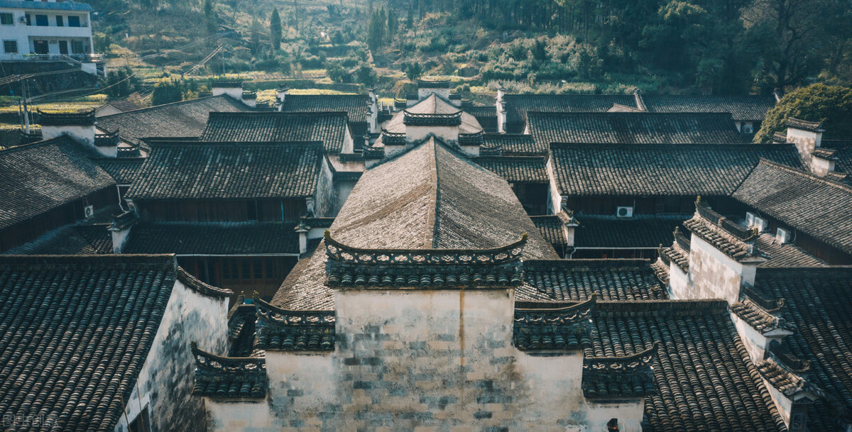 1000根柱子建成的村落！深山里的怪屋，中国古代土豪的私人别墅