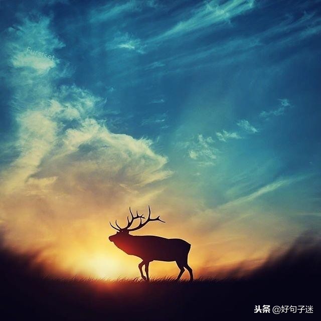 很火很赞的心灵鸡汤，经典有哲理，静下心来看看！-第5张图片-非凡网