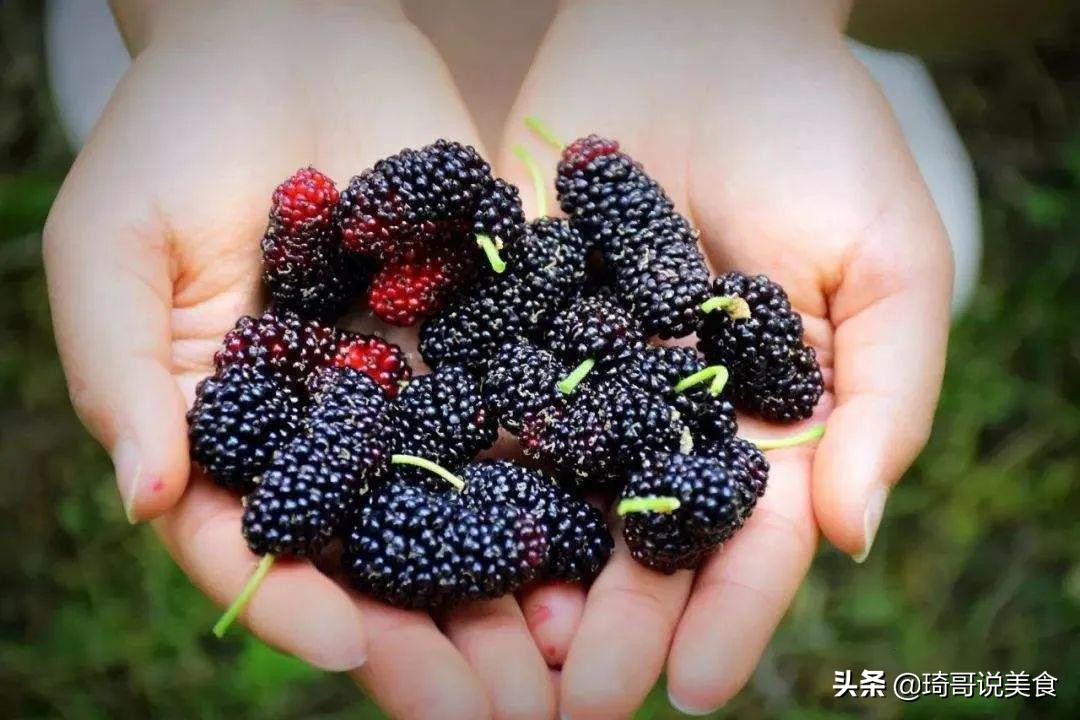 春末夏初,这4种水果正当季,泡酒做甜品都不错,应季而食身体棒 春末夏初,这4种水果正当季,泡酒做甜品都不错,应季而食身体棒