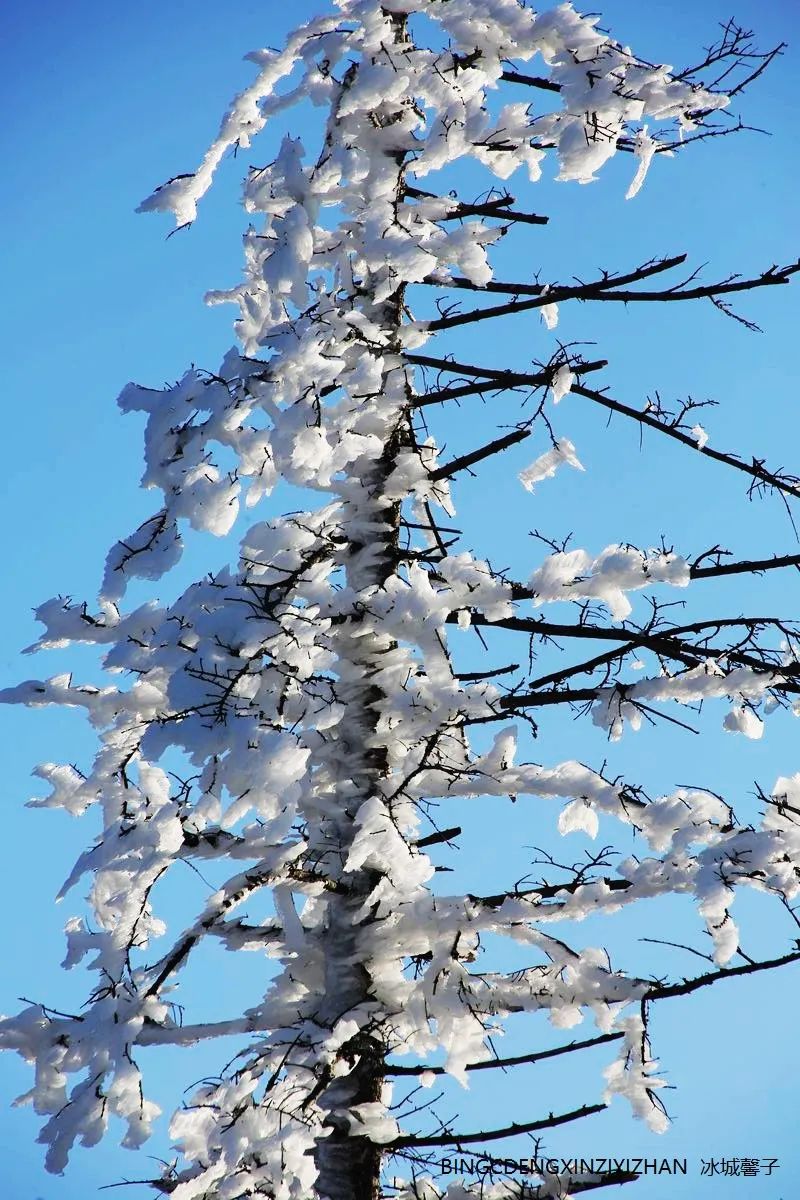 Xuexiang Tianlu, walking through the poetry of autumn leaves dancing with the first snow