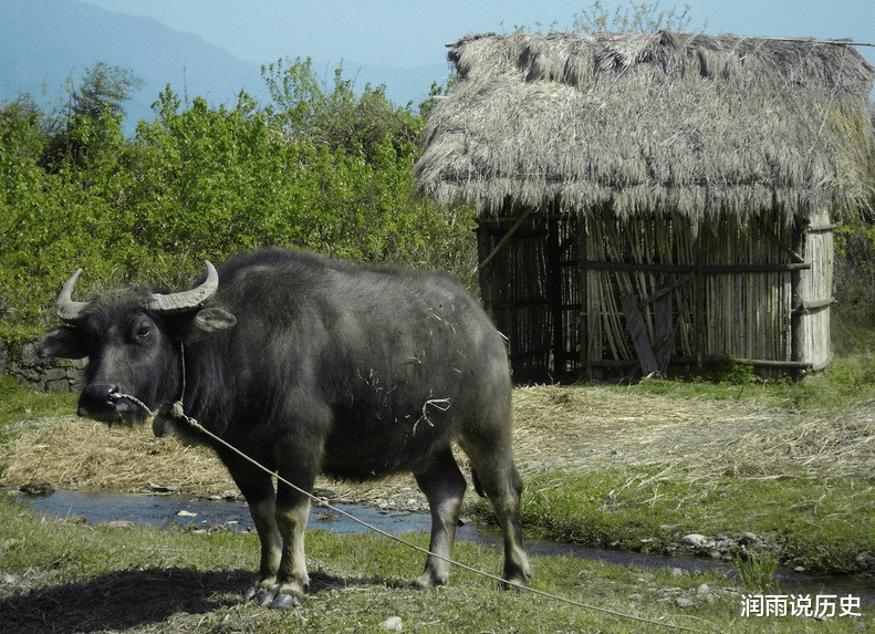 朱温坑人太狠没商量，60年后郭威称帝免租金，百姓总算甩掉阎王账