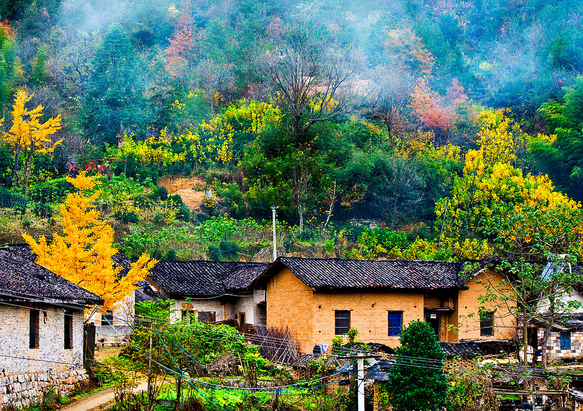 产业+文化+旅游：融合发展推进乡村振兴