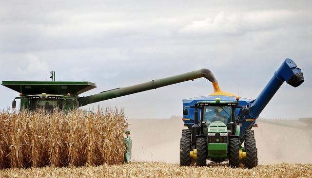 每日粮油：关于玉米市场的一些价格判断 上涨或