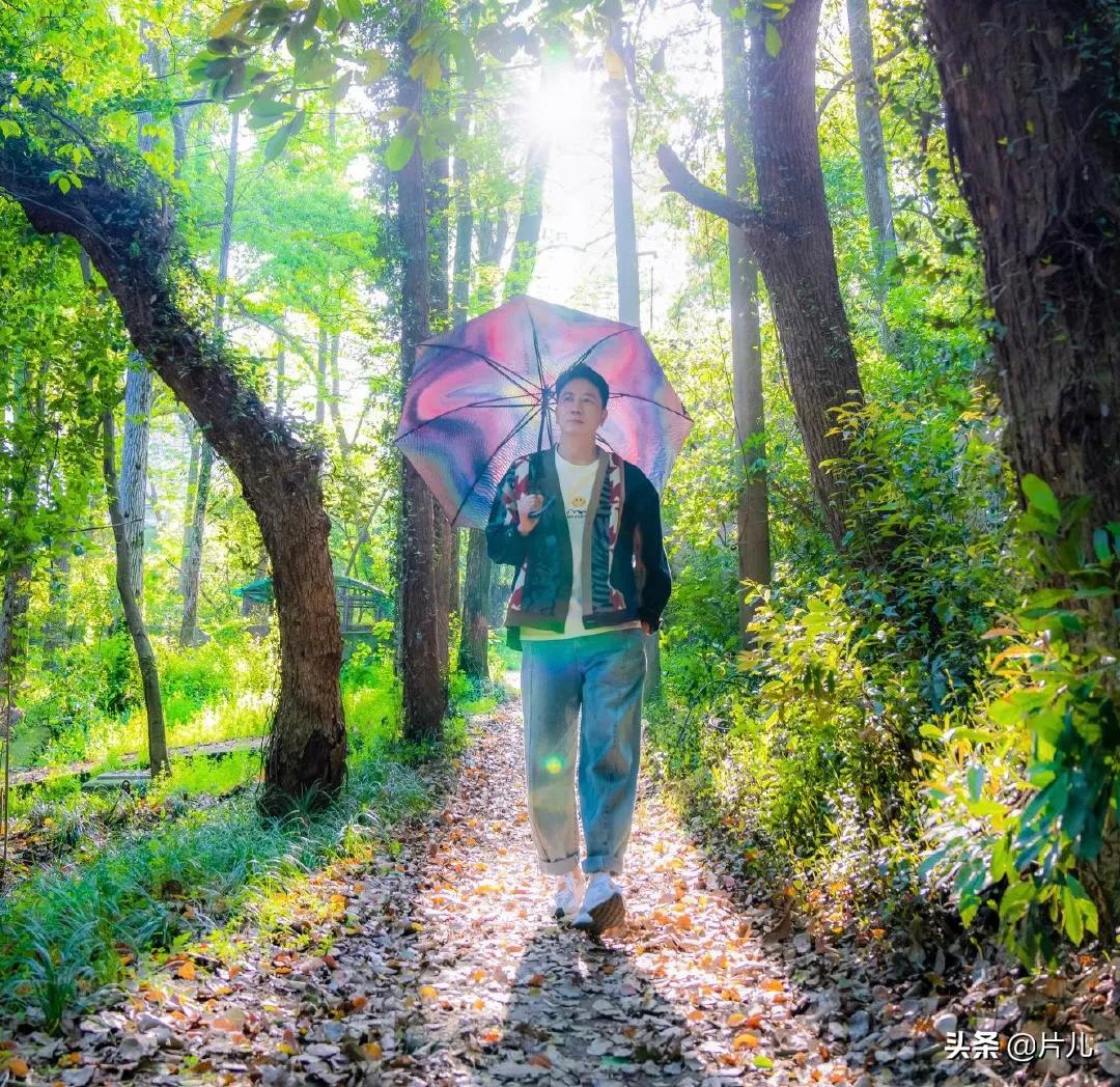 林生斌是个好演员！收获巨额赔偿之后，还应颁给他一个影帝