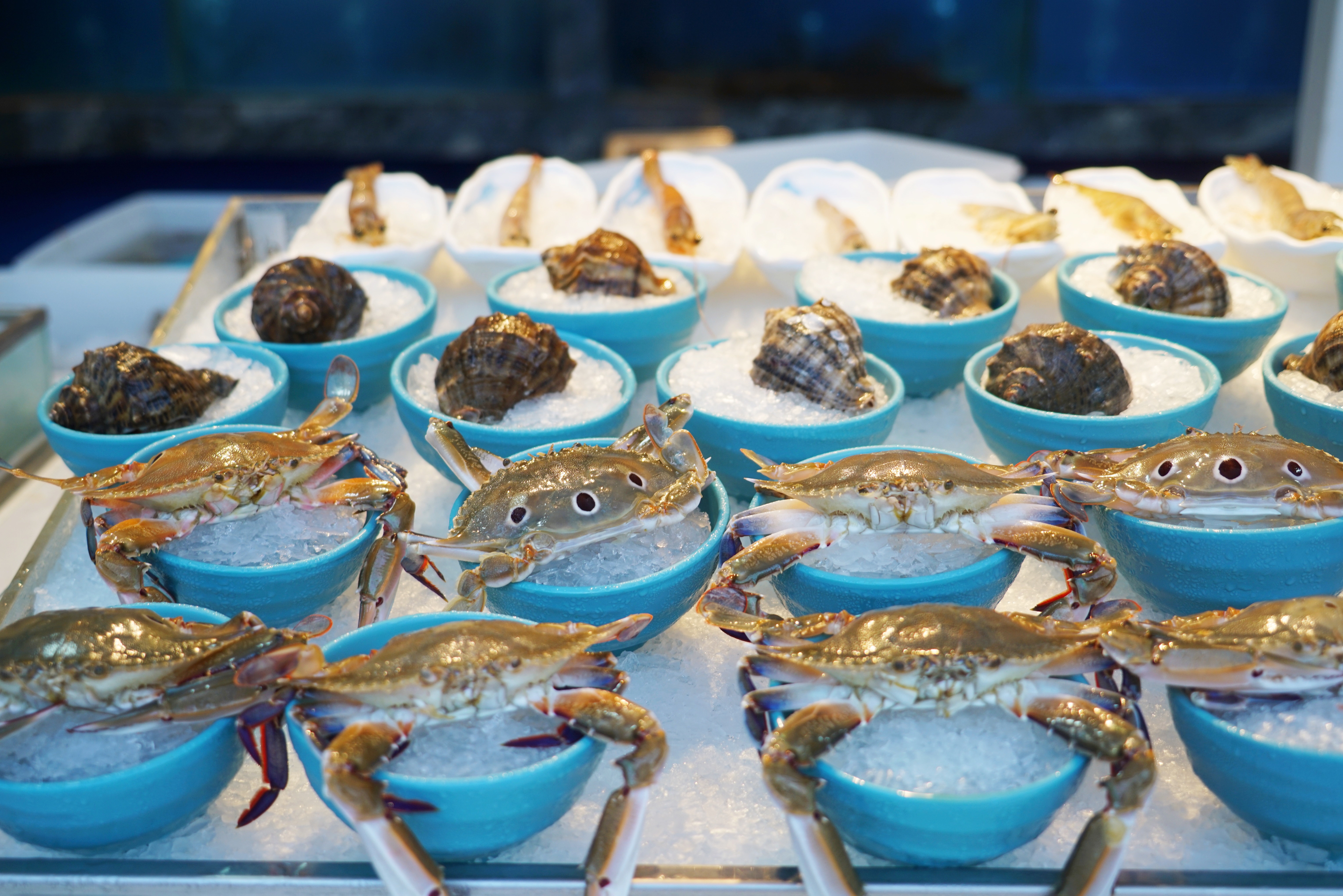 冬天旅行首选目的地，三亚吃喝玩乐全攻略，给你最悠闲的海岛时光