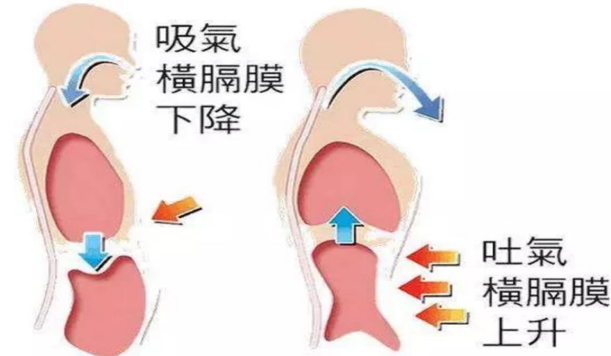 食道癌手术须开胸 开腹 患者术后不到1天就进行步行训练 365bet体育在线亚洲 365bet官网诚推米乐200 365bet手机网址