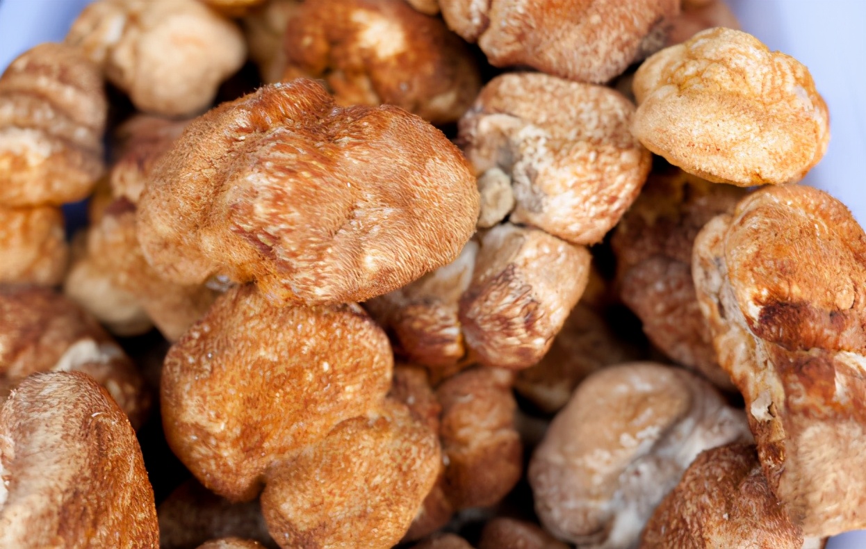 胃裡有幽門螺桿菌，嘴巴通常會發出3個信號，醫生：趁早檢查一下