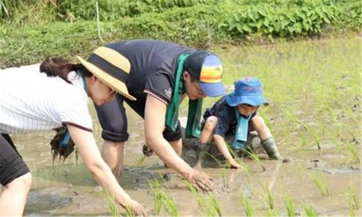 有種“炫富”叫郭晶晶養娃，不曬物質曬教養，網友看到娃後：懂了