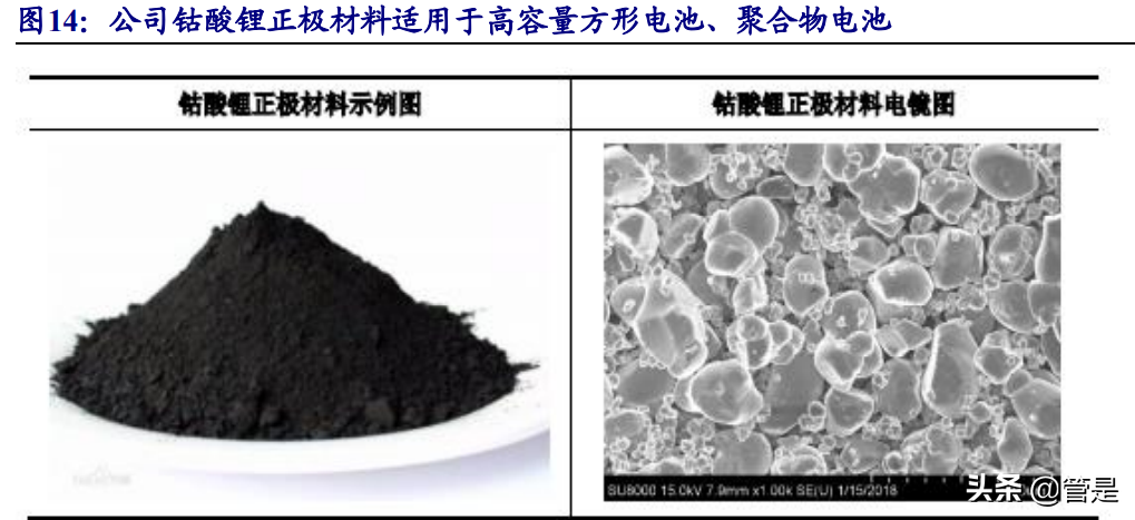 长远锂科专题报告：高端三元正极龙头，与产业链巨头共成长
