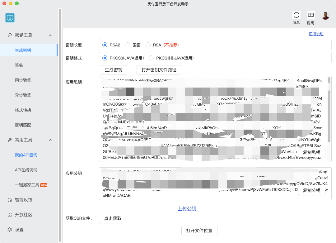 个人开发者如何使用支付宝沙箱开发支付功能