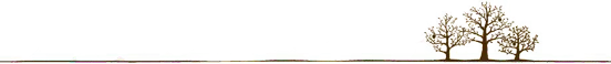 舍 + 得 （您一定要读！）