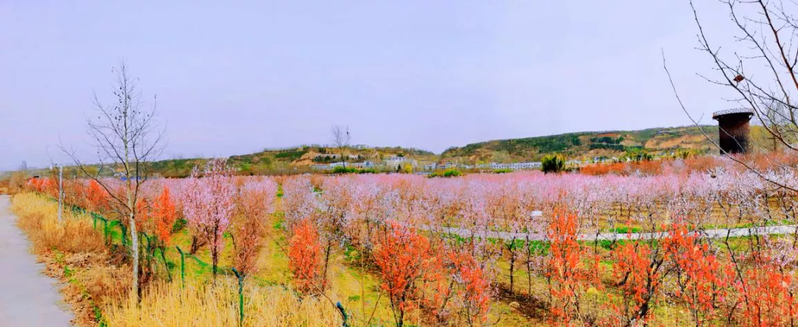 �ԷǷ��¾�ƽ������δ��Ϊ����ʦ������3000Ķ��ѧ���Ͷ���������