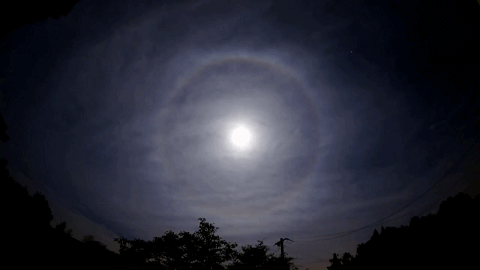 推粪球之前，屎壳郎为什么要跳舞？