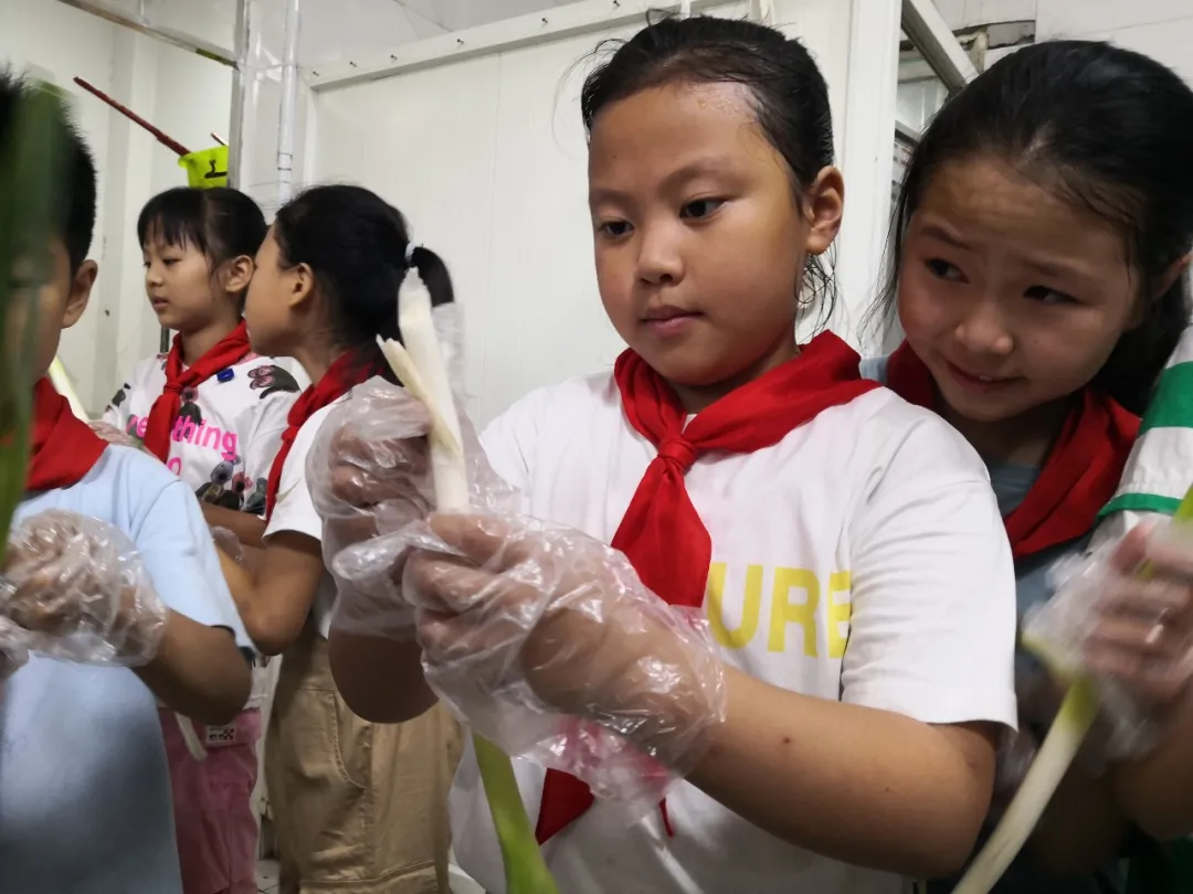 欢乐与泪水——万安小学4.1中队走进厨房学习生活技能