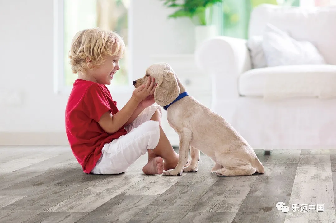 比利时乐迈石晶斩获2021环保贡献力大奖