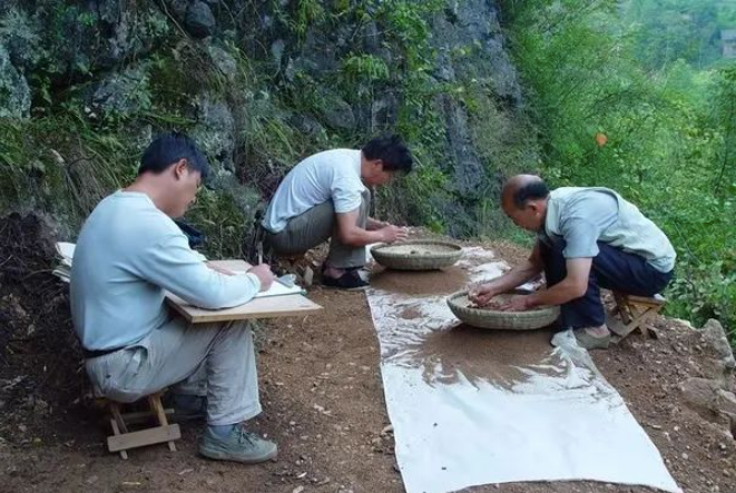 中國人獨立起源，不是非洲？最新證據：現代人來華南不超6萬年