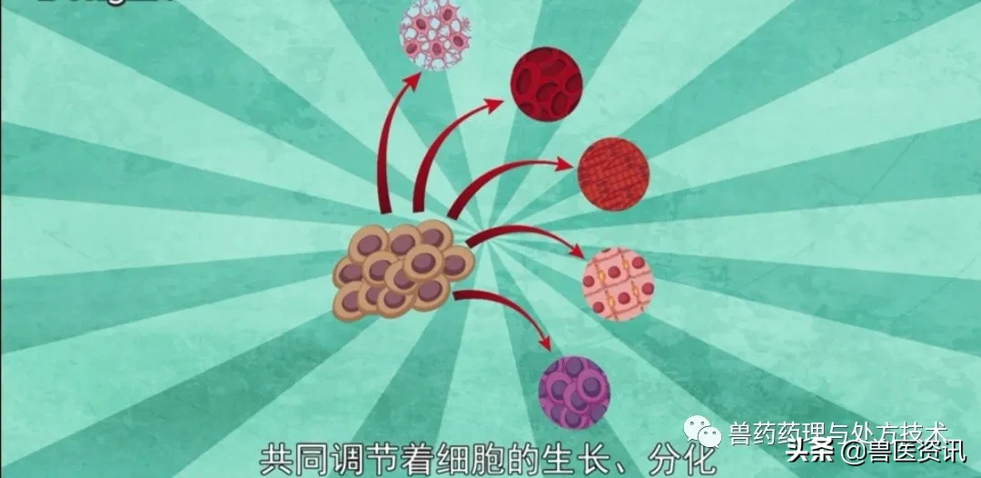 盐酸多西环素的这个独门绝技，开具处方时搭配好了治疗将如虎添翼