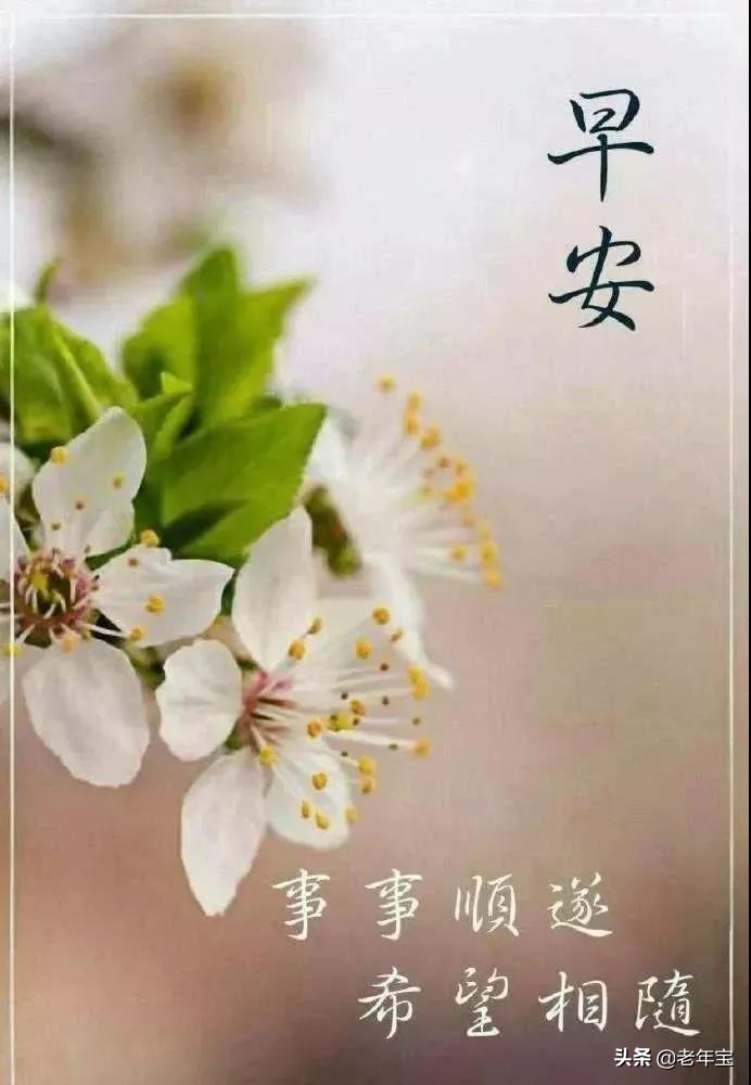 最新周三早上好表情图片  周三早上好问候语图片图片