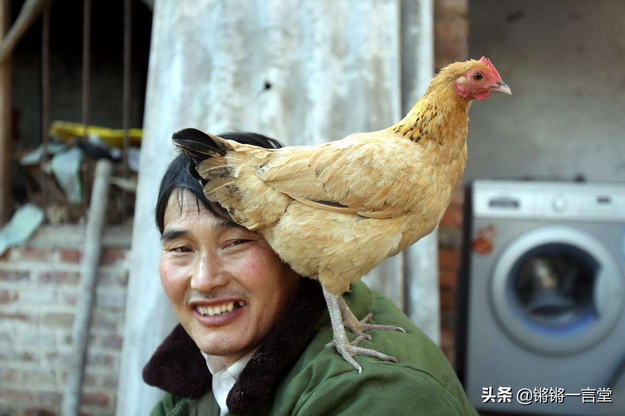 蒋凡别恋，罗志祥滥情，李国庆反目，谁像朱之