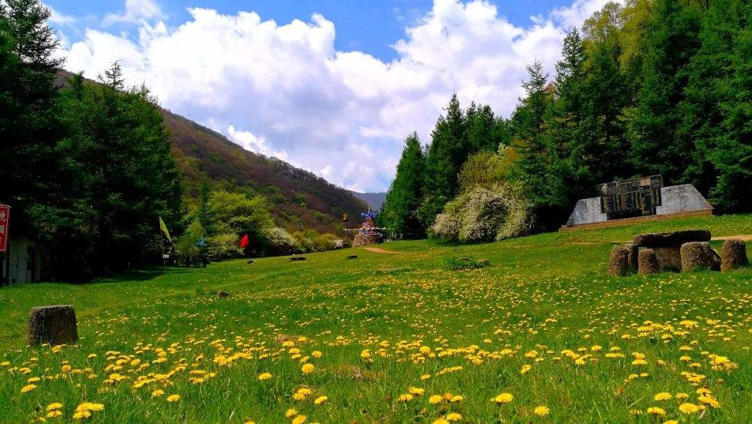 宁夏旅游的精华全藏在这些地方！曾经的荒凉之地，如今美若仙境