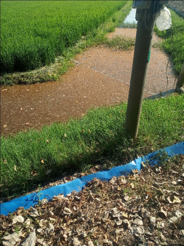 小龙虾养殖的矛盾统一面:静水养肥，流水蜕壳，如何合理调控