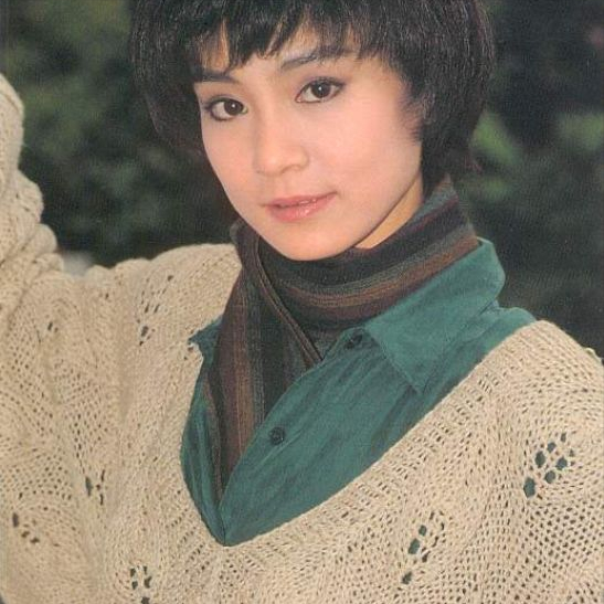 10年前丈夫意外坠楼去世，膝下无儿无女，如今刘雪华过得怎么样？