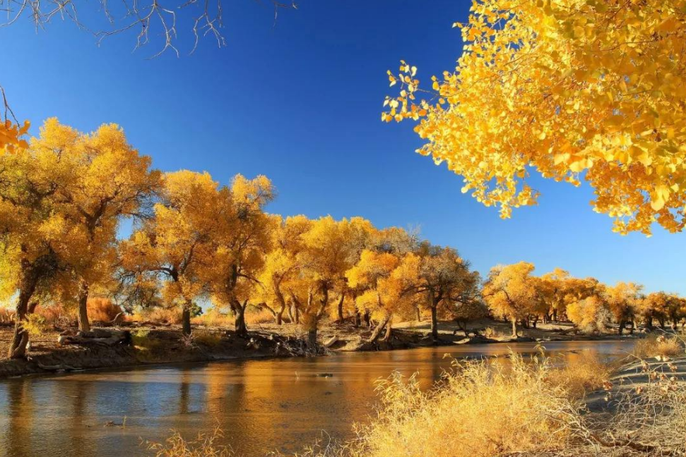 十首最美的秋日诗词，一起感知秋日美好-第15张图片-诗句网